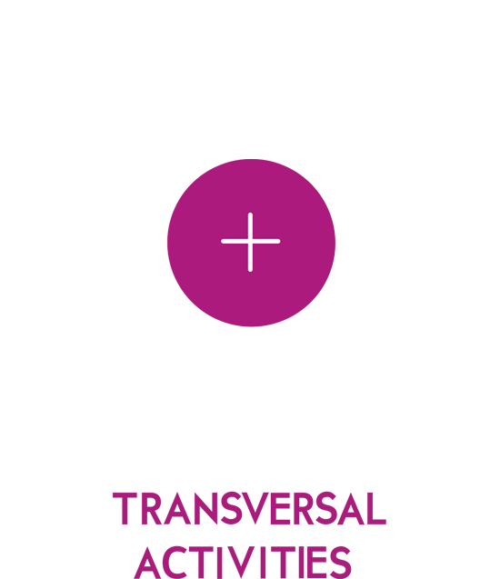 Transversal Activities